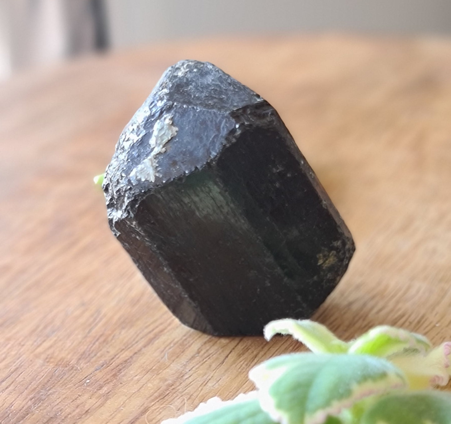 Black Tourmaline Natural Double Terminated Crystal